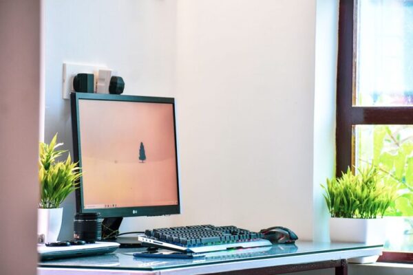 Tips for Creating a Productive Home Office Environment