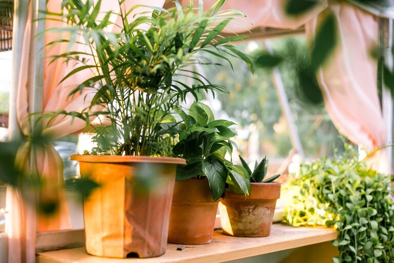 Tips for Creating a Sustainable Home Garden Throughout the Year